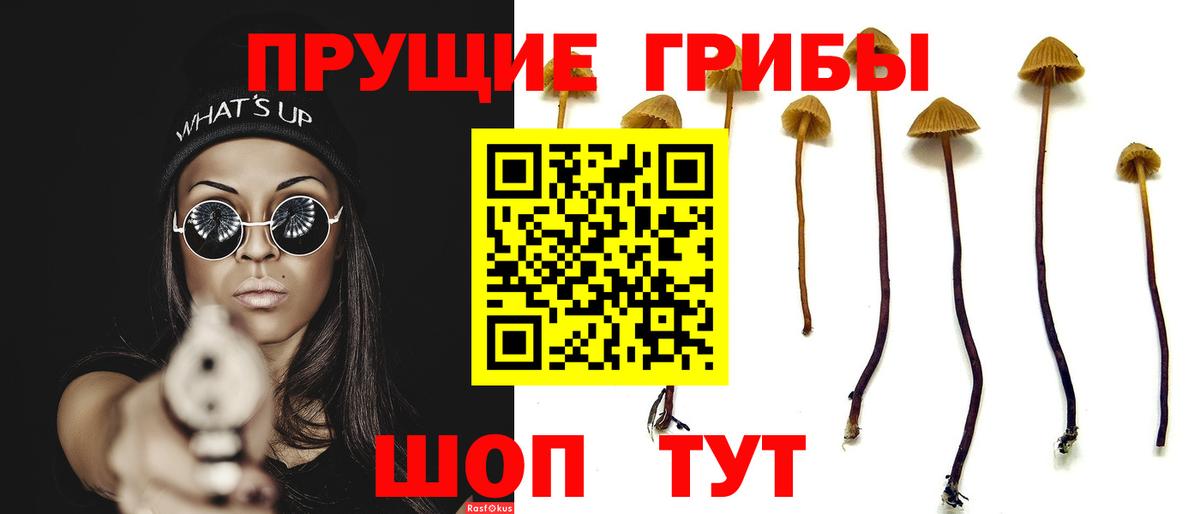Псилоцибиновые грибы ЛСД  Вход с VPN  Ессентуки 